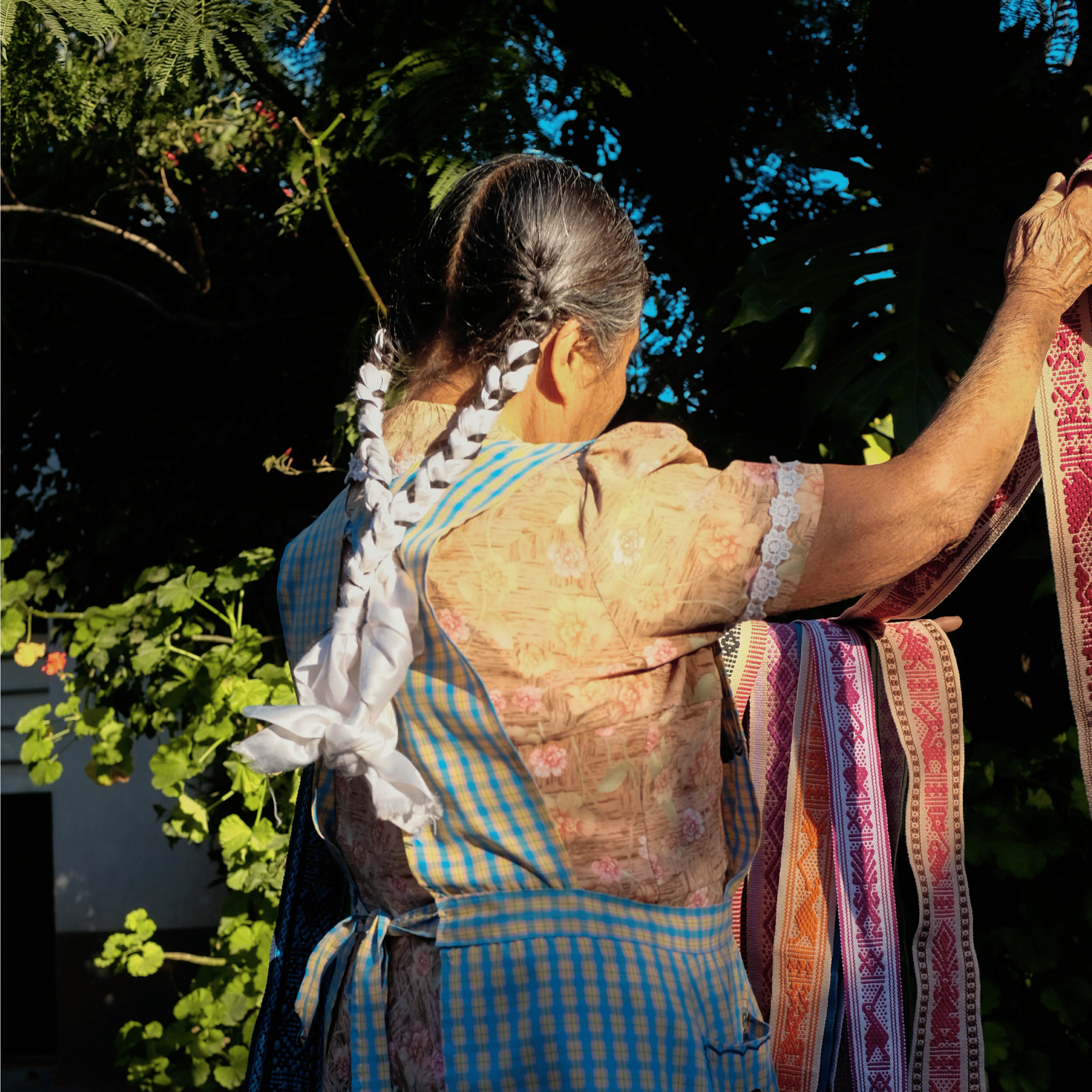 Mexico Project | Social Impact Credits