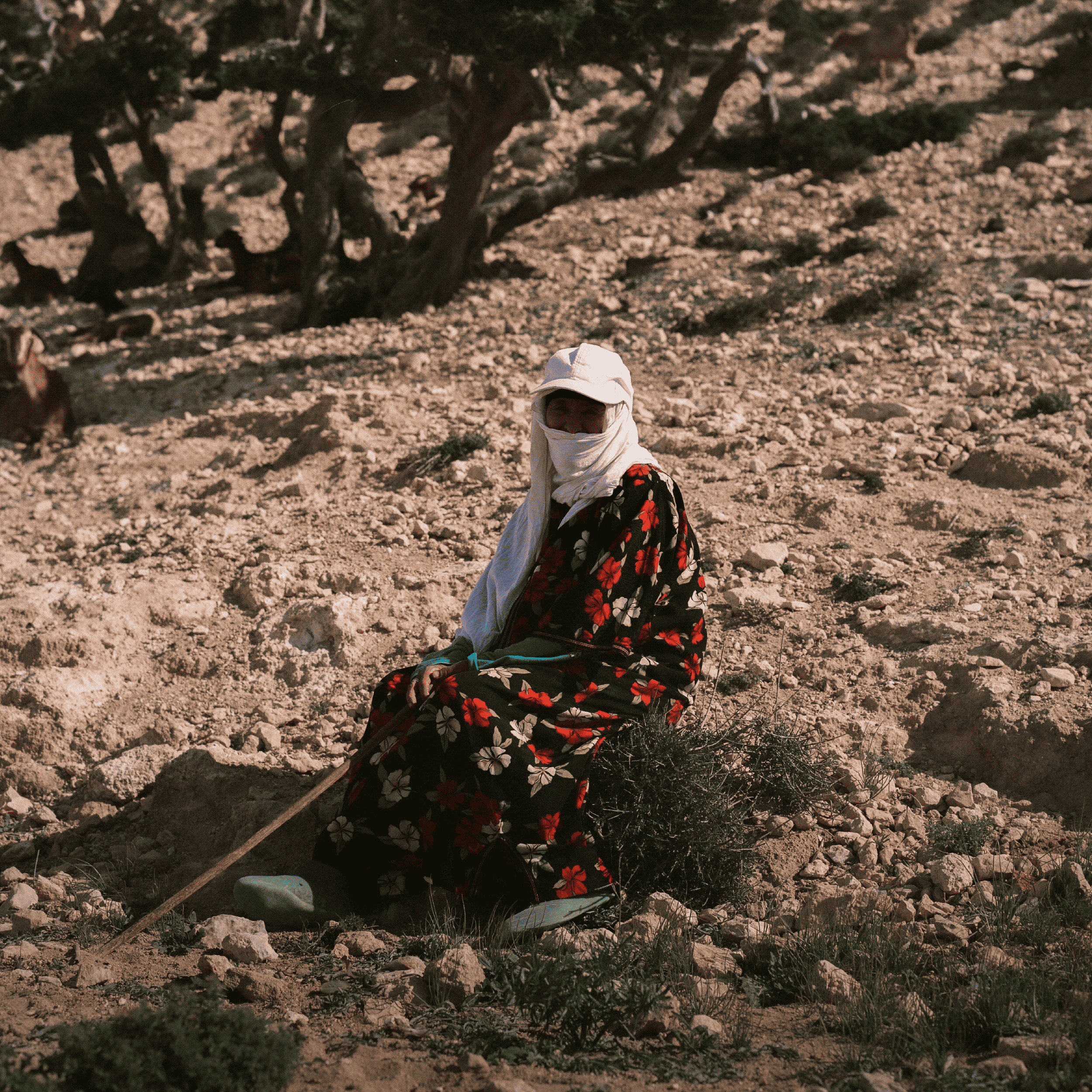 Noor Morocco Project | Social Impact Credits